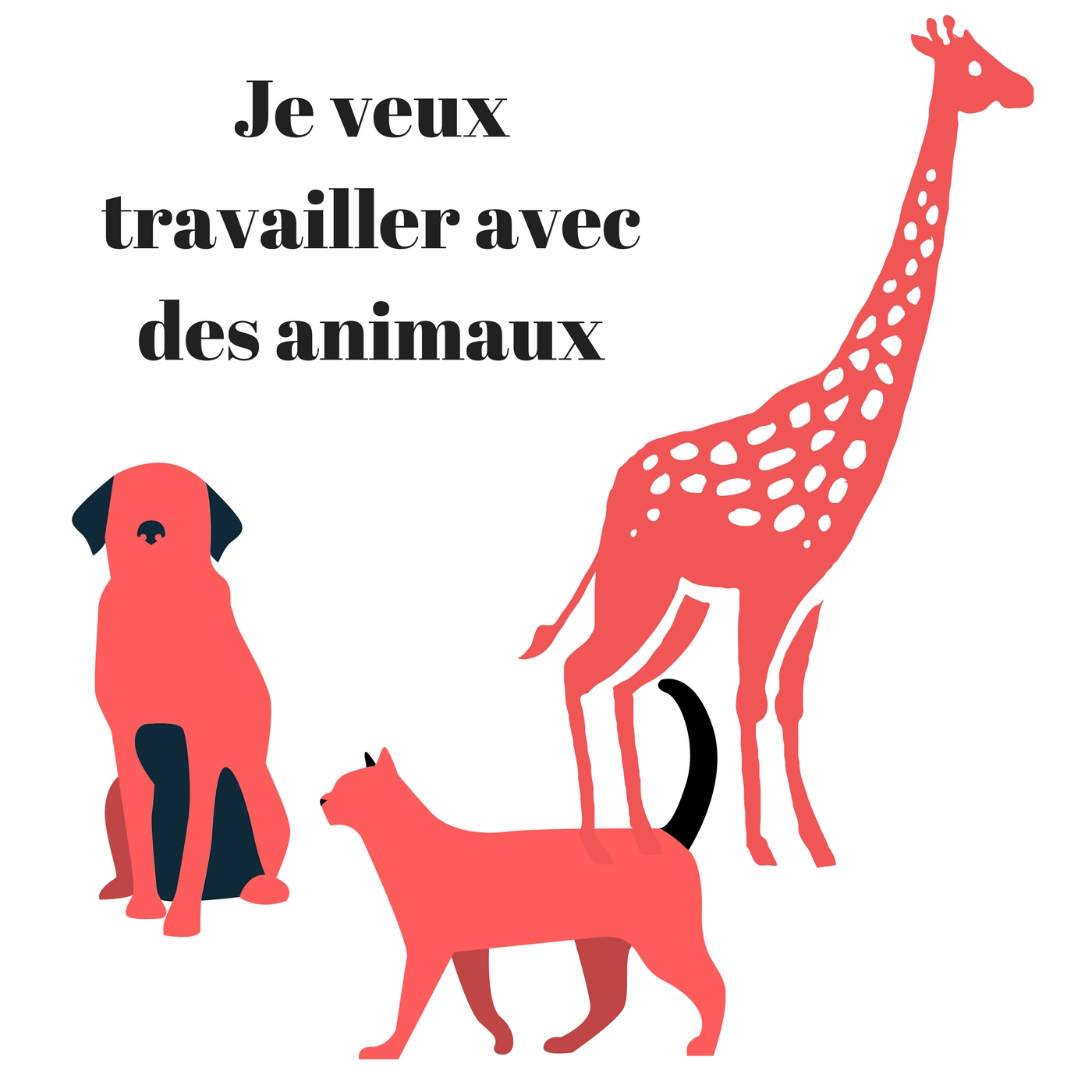 infographie animaux